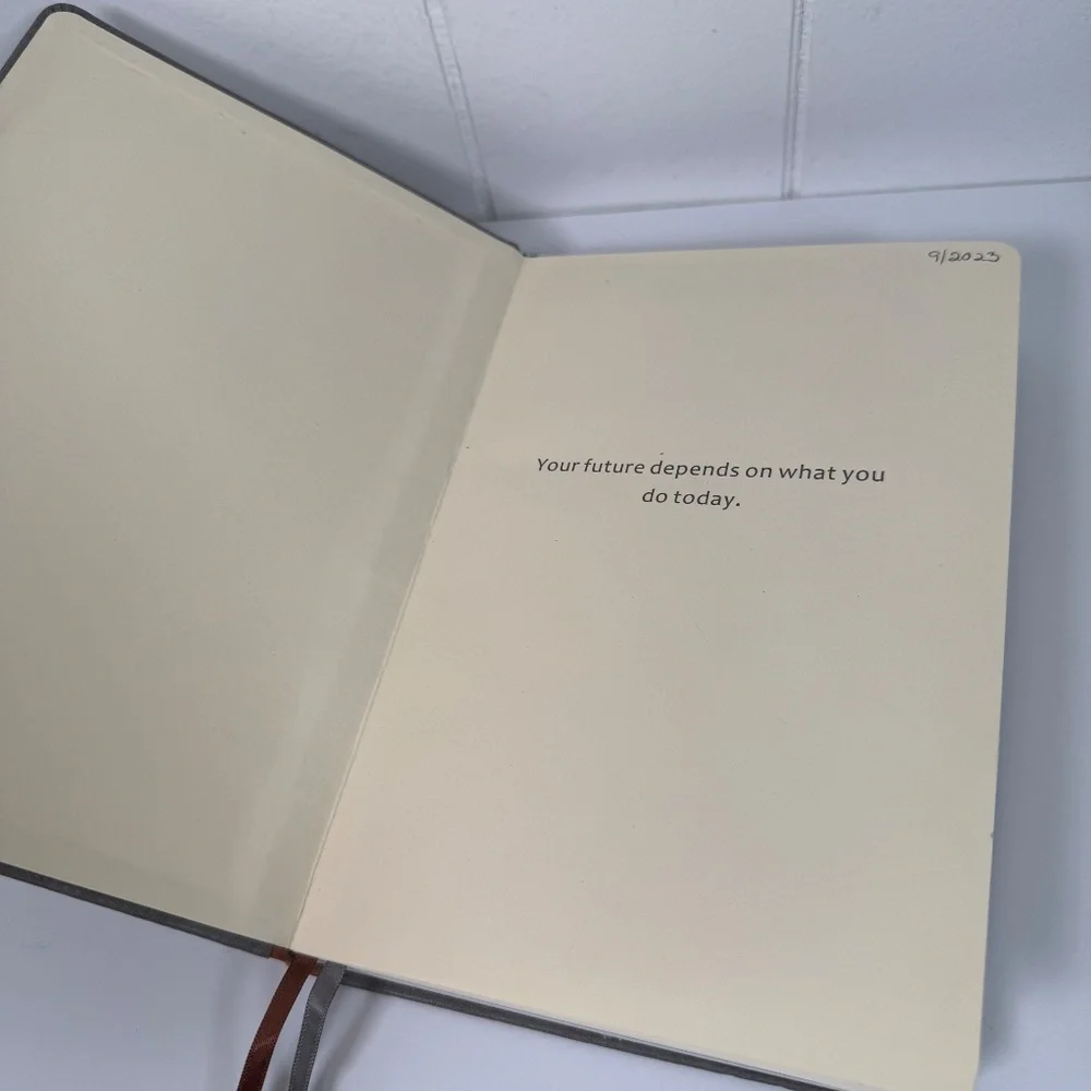 Lemome Gray Undated (A5) Hardcover Daily Planner Calendar Weekly Monthly NWOT